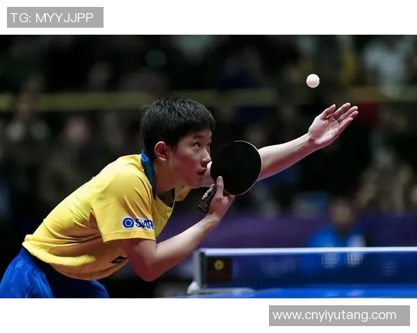 北京网球队的节奏变化与战绩分析探讨球队未来发展方向 北京网球队的节奏变化与战绩分析探讨球队未来发展方向