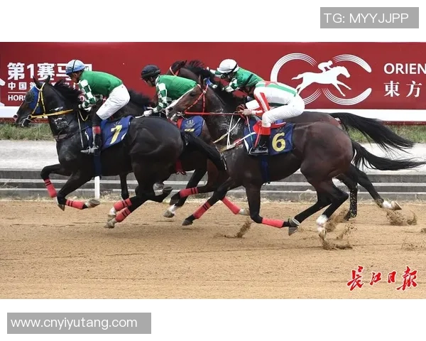 武汉羽毛球队比赛经验分析与提升策略探讨