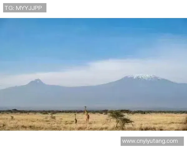 山泽山神与金泽的对决探秘神秘力量与人类智慧的较量