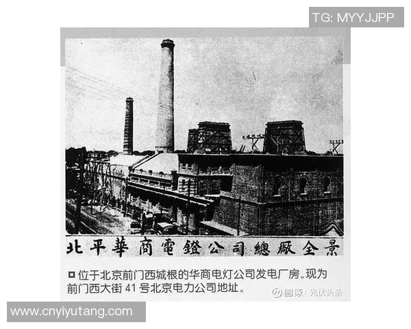 倪永康：从政治风云到历史评析的多维视角探讨