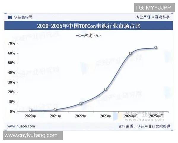 八一双鹿电池在国际市场的崛起与美国竞争的全景分析