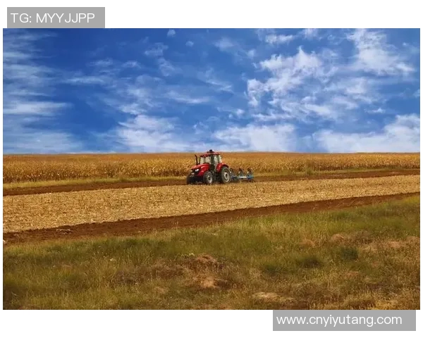 山形山神与内心的对话探索自我与自然的和谐之路