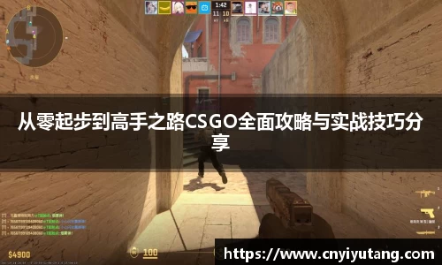 从零起步到高手之路CSGO全面攻略与实战技巧分享