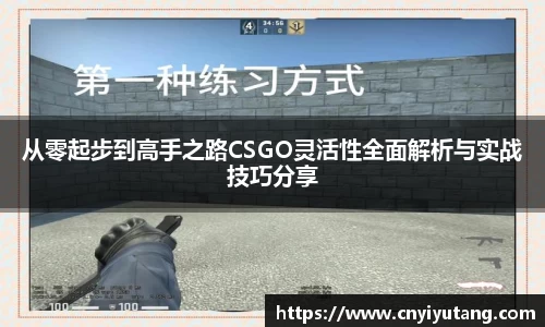 从零起步到高手之路CSGO灵活性全面解析与实战技巧分享