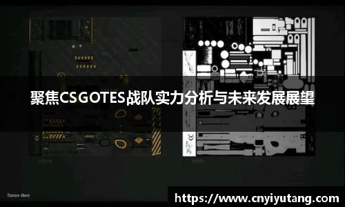 聚焦CSGOTES战队实力分析与未来发展展望